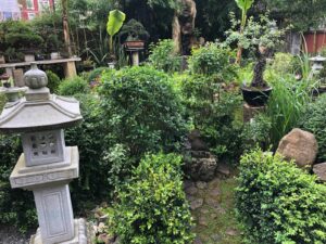 IMG-20180427-WA0028
