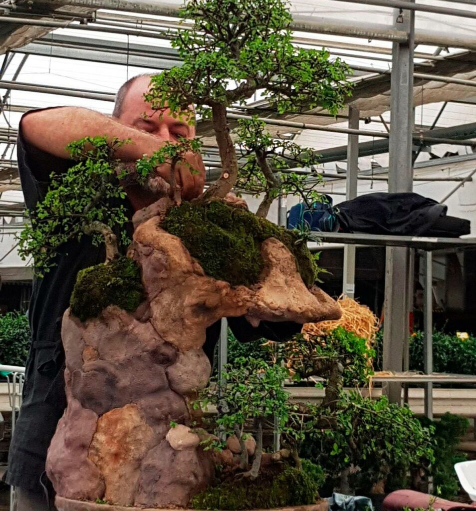 Curso de Bonsai