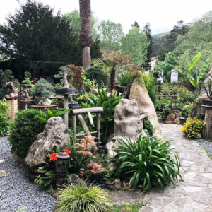 jardin-museo-de-bonsai