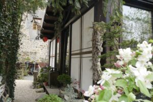 pabellon-de-te-museo-de-bonsai-guenes-1