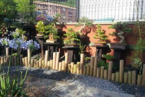tienda-de-bonsai-museo-de-guenes