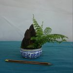 kusamono