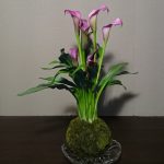 curso de kokedama en Bilbao